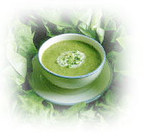 cabbage-soup.jpg